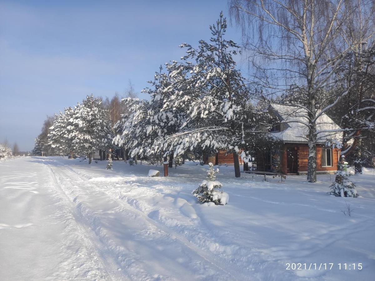 Swironek Vila Białowieża Exterior foto